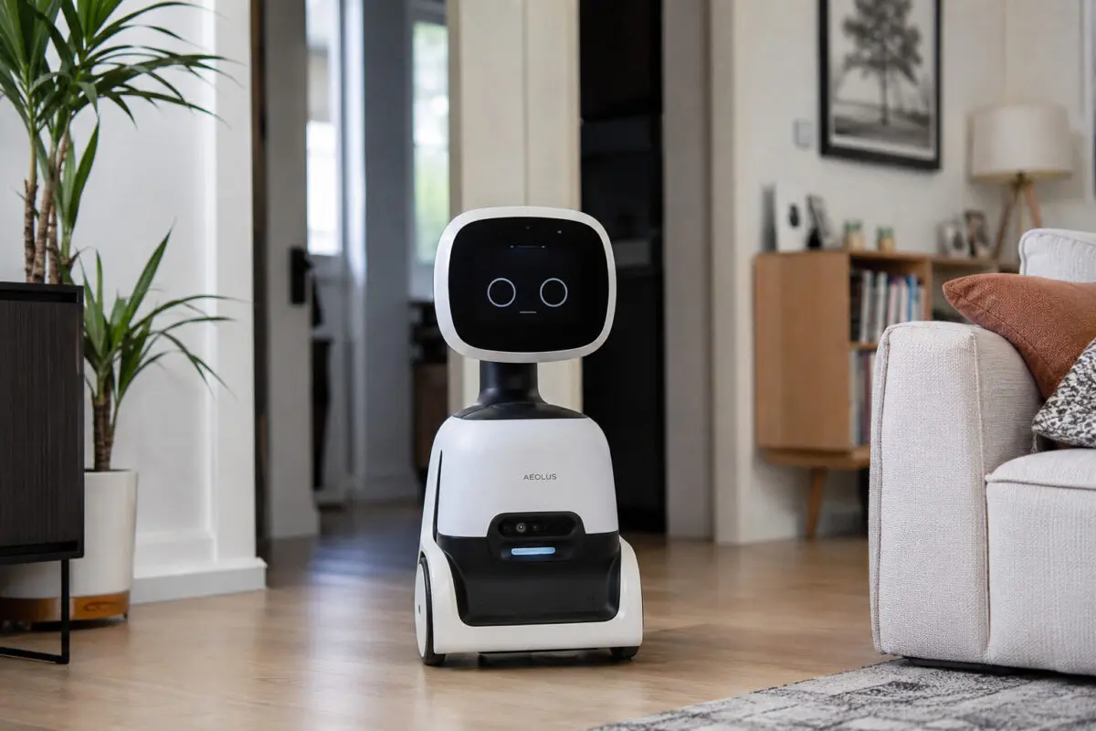 AI Home Companion Robots